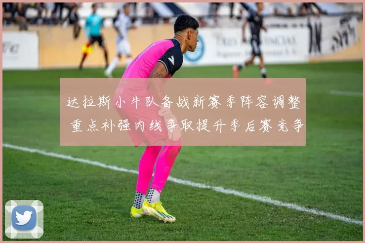 达拉斯小牛队备战新赛季阵容调整 重点补强内线争取提升季后赛竞争力