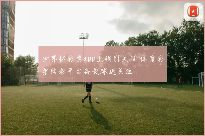 世界杯彩票app上线引关注 体育彩票购彩平台备受球迷关注
