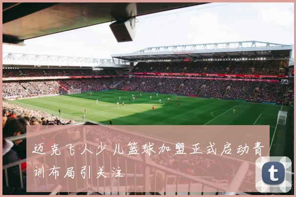 迈克飞人少儿篮球加盟正式启动青训布局引关注