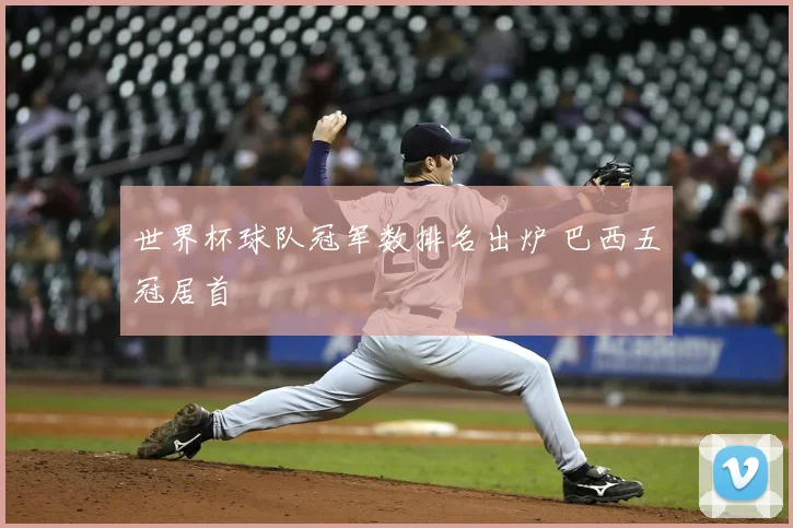 世界杯球队冠军数排名出炉 巴西五冠居首