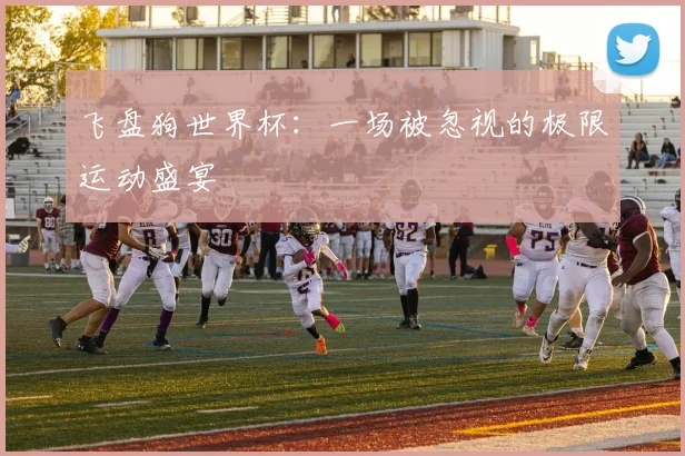 飞盘狗世界杯：一场被忽视的极限运动盛宴