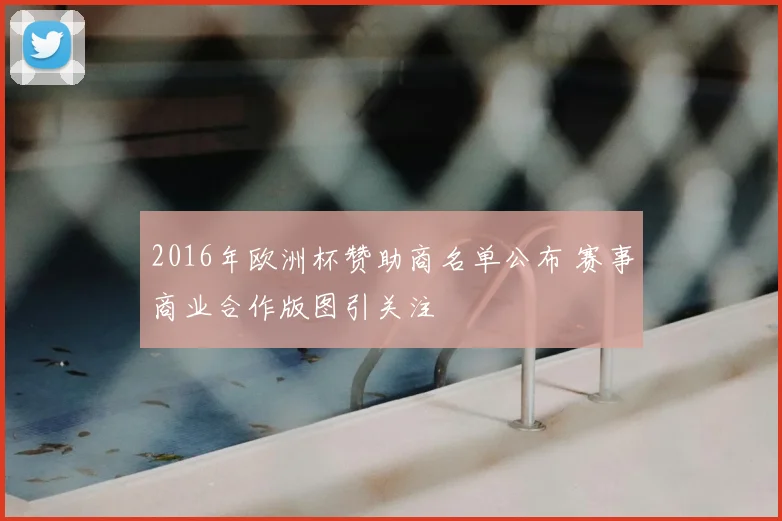 2016年欧洲杯赞助商名单公布 赛事商业合作版图引关注